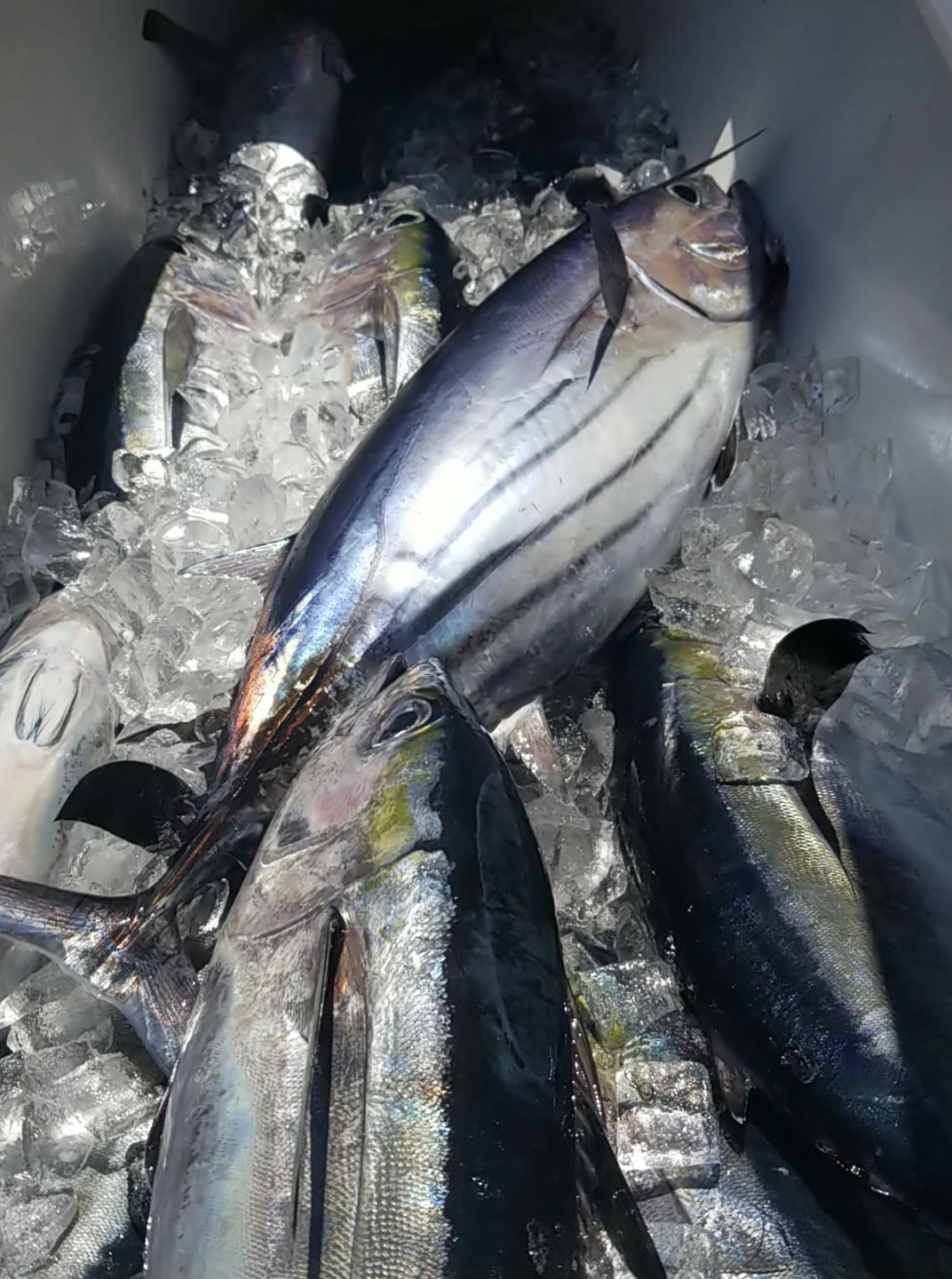 Fishing in Florida - Best, great outdoor adventure
