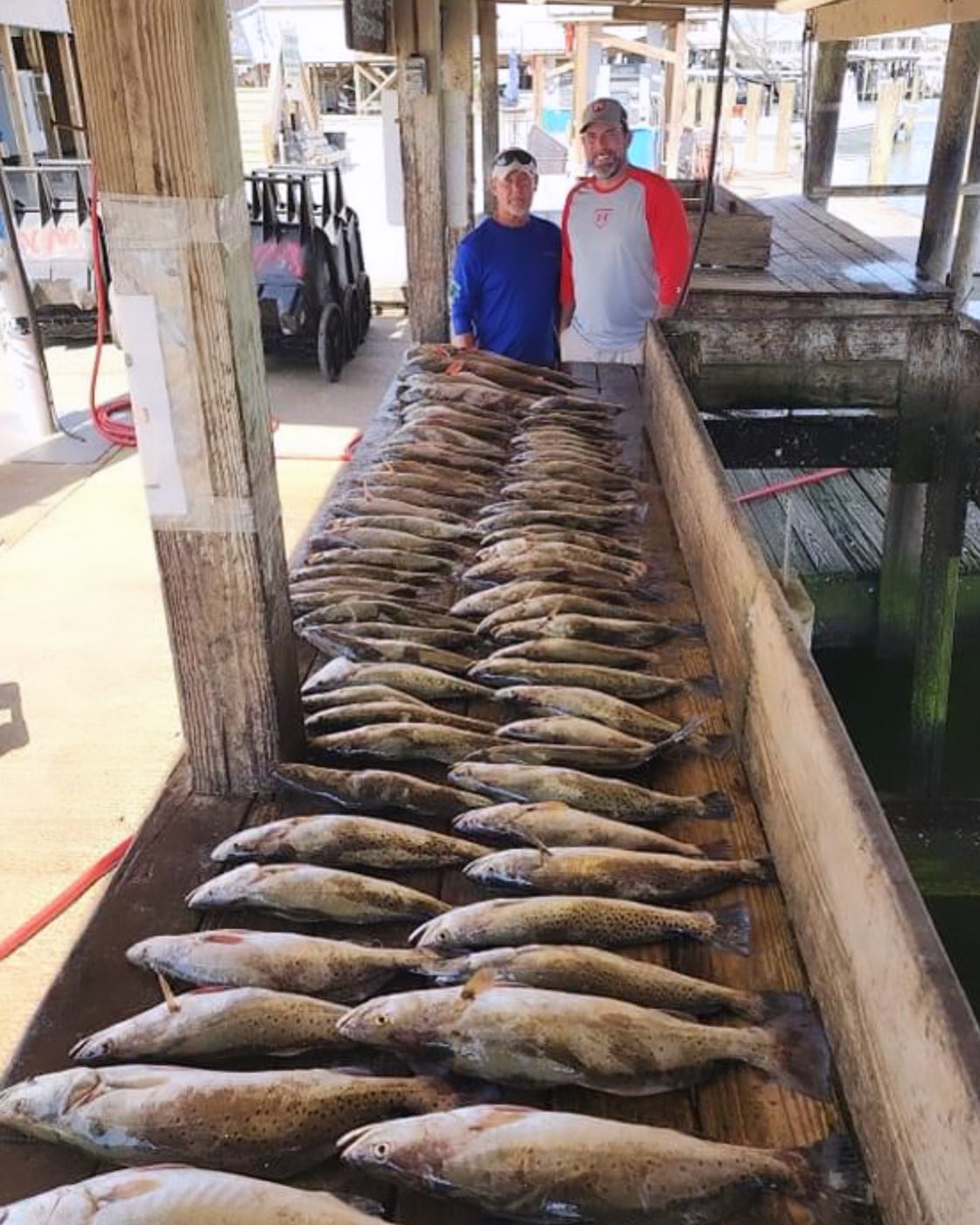 6 muskellunge and wahoo fish caught in Boothville-Venice