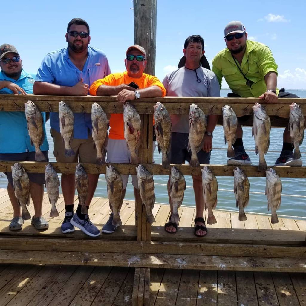 14 black drum and mutton snapper fish caught in Corpus Christi