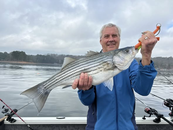 Striped bass catch displayed on fishing boat in Cumming GA