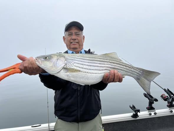 Striped bass caught fishing in Cumming GA held on boat
