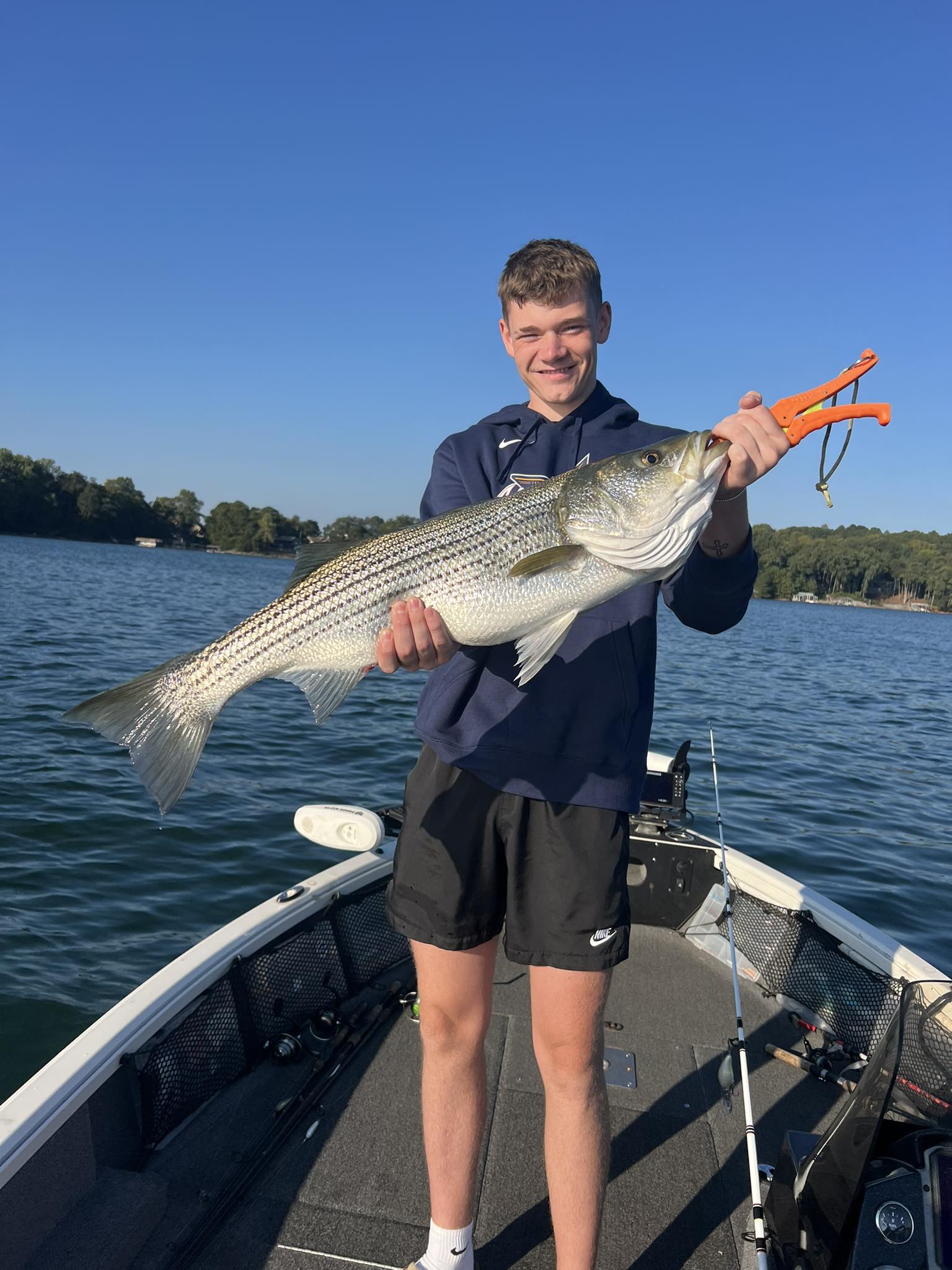 Striped bass caught while fishing in GA