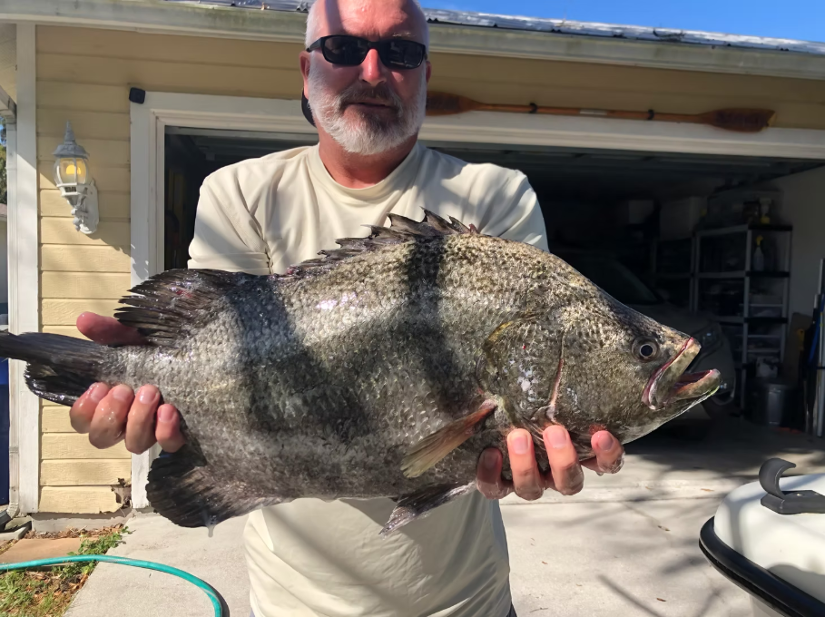 Naples offshore fishing charter boat on Gulf of Mexico waters targeting grouper and snapper