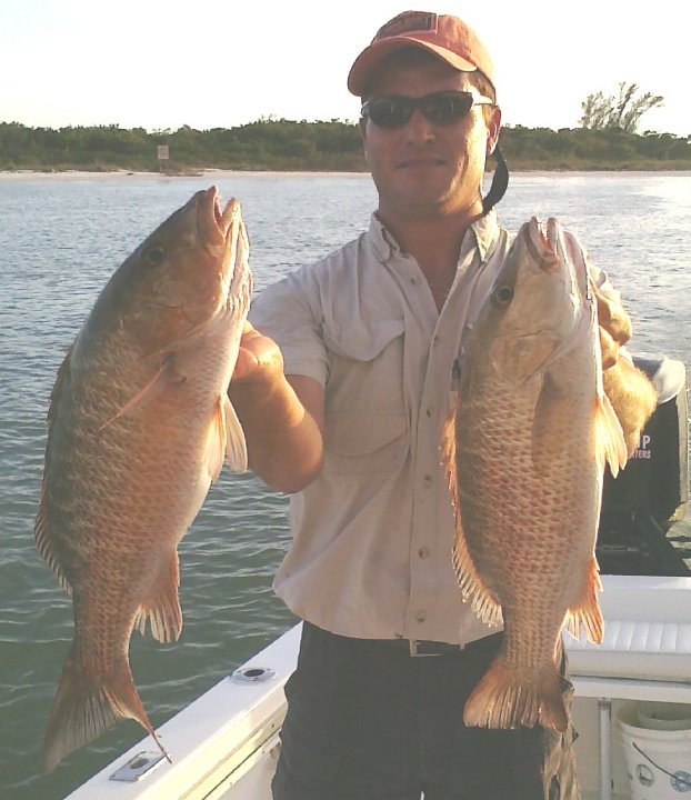 Two cubera snapper fish caught fishing in FL