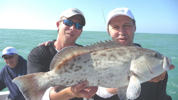 Gag grouper, 29 inches, caught fishing in FL
