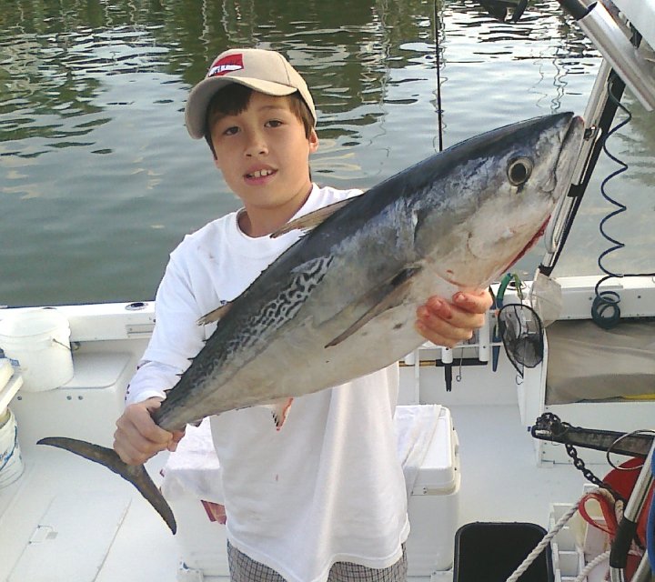 One little tunny fish caught in Bonita Springs