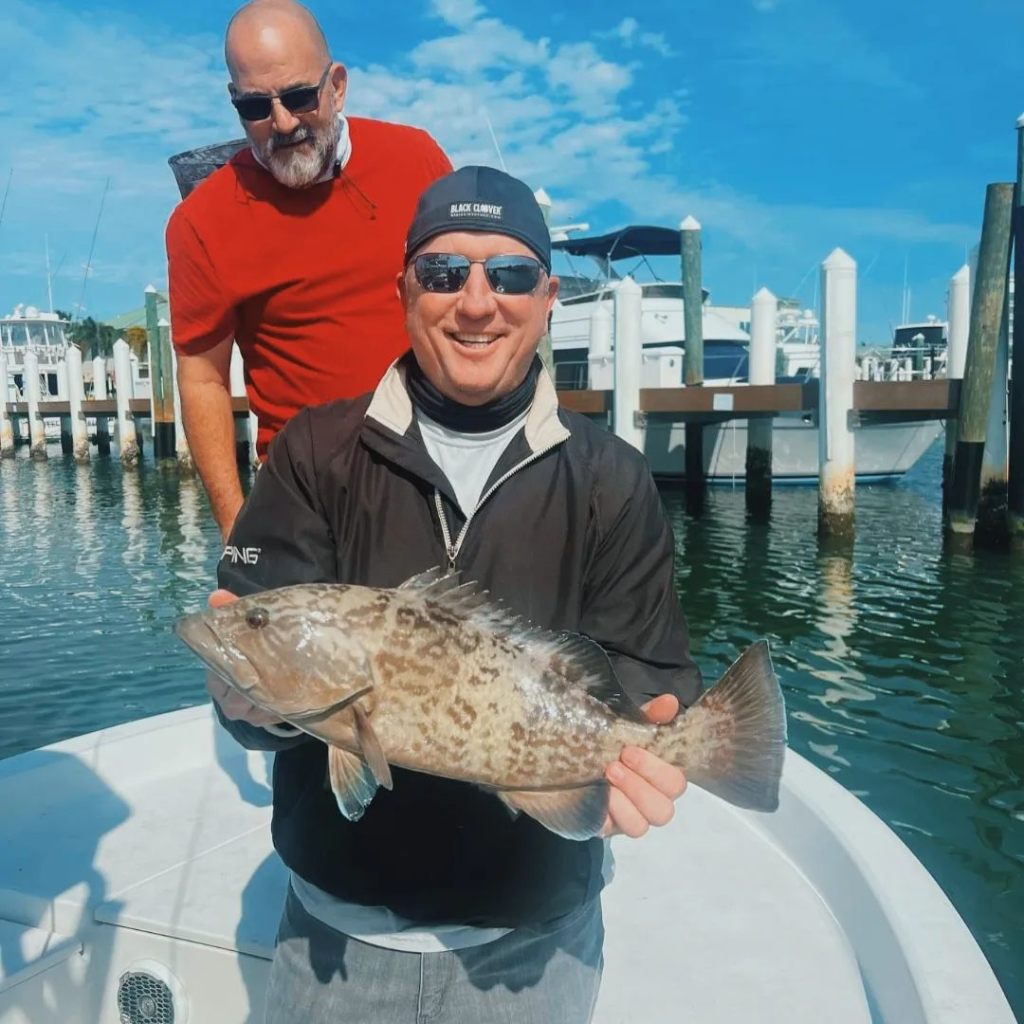 Gag Grouper fish caught by 2 people in St. Petersburg