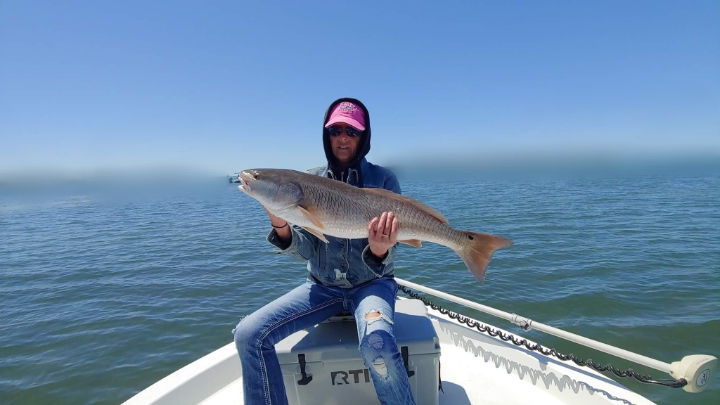 Photograph of a 37-inch redfish caught while fishing in St. Petersburg