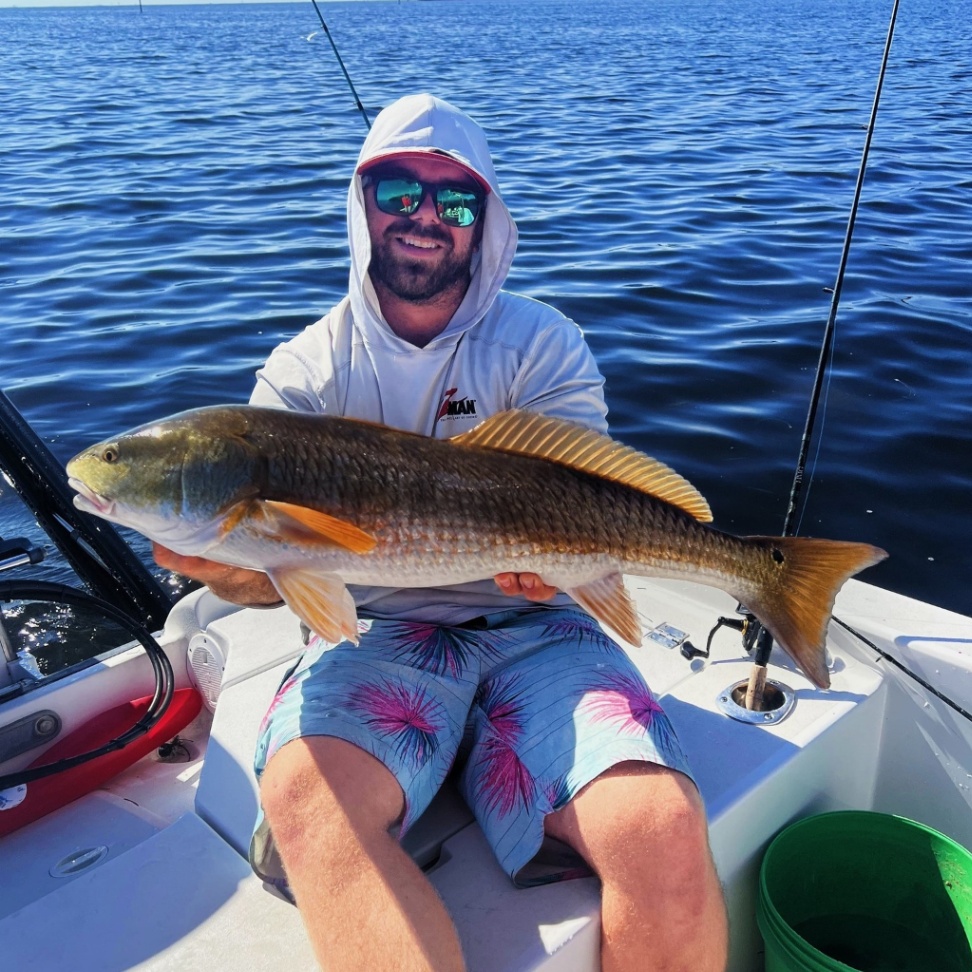 Redfish caught by angler in St. Petersburg