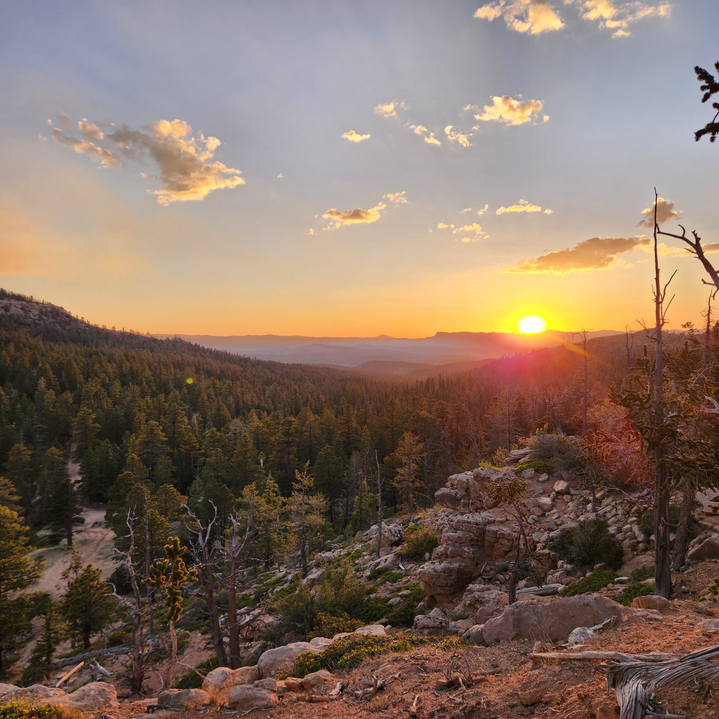 Sunset view over forested mountains and rocky terrain near Panguitch Utah