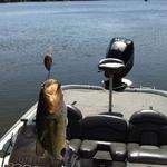 Bass Fishing in Itasca