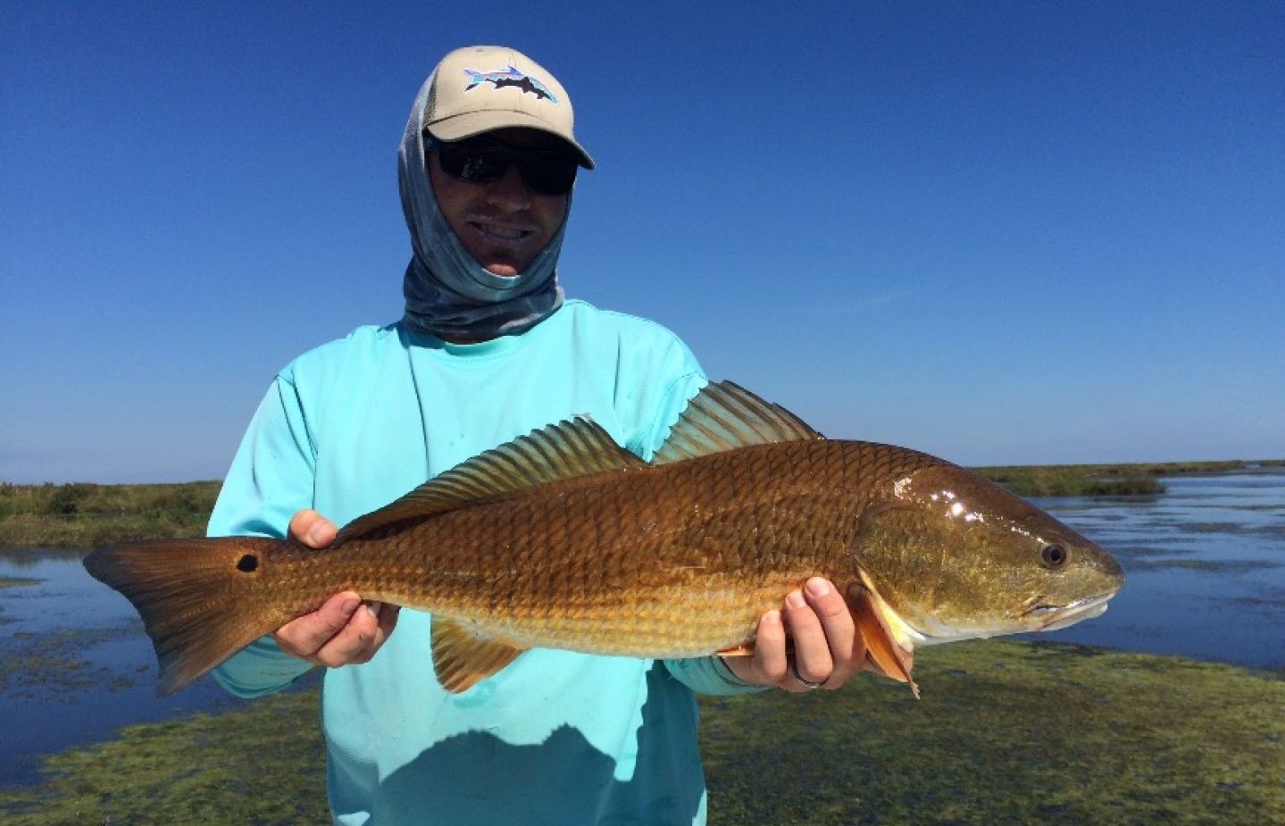Redfish caught in Jacksonville, Florida