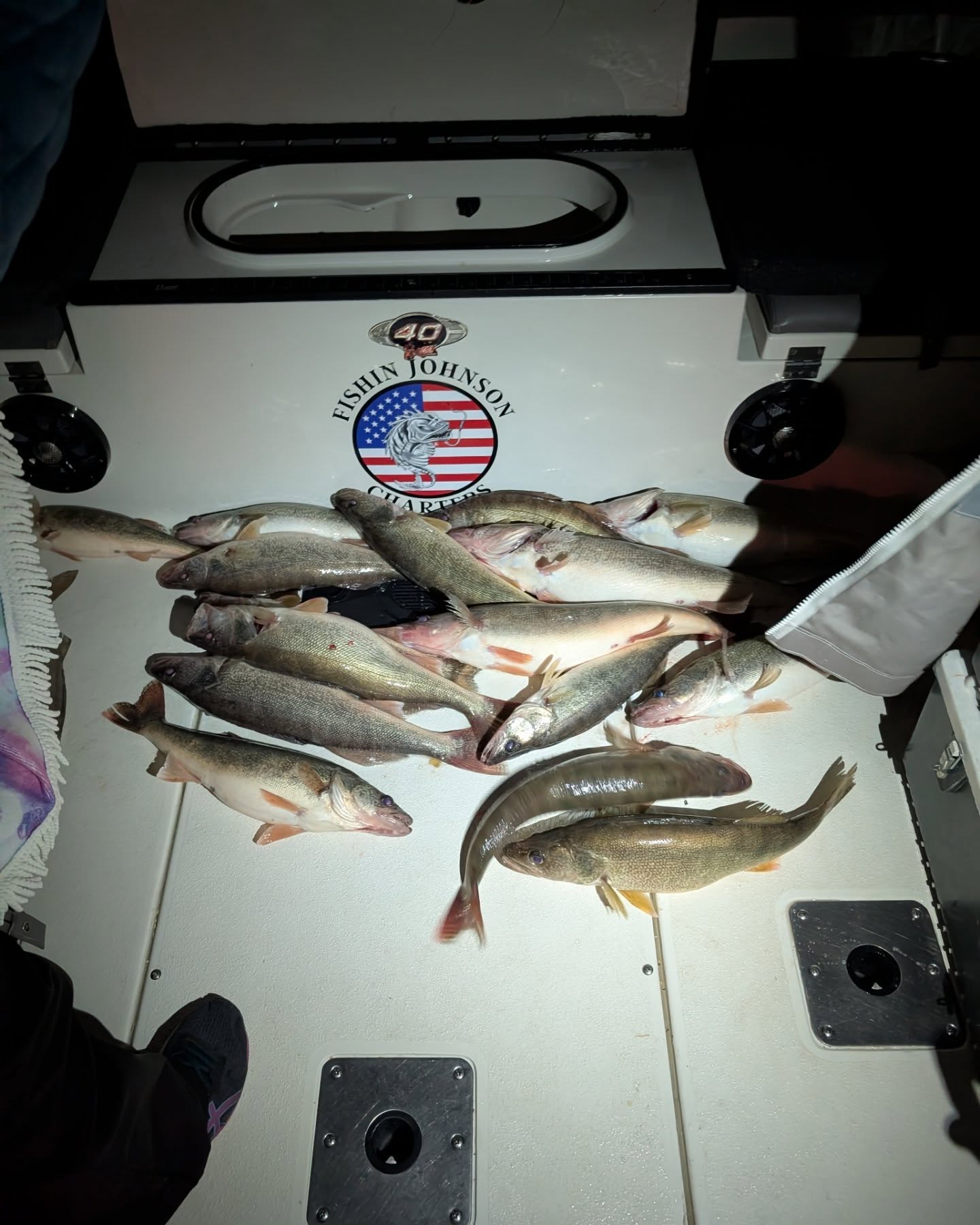 4 fish caught while fishing in Lakewood