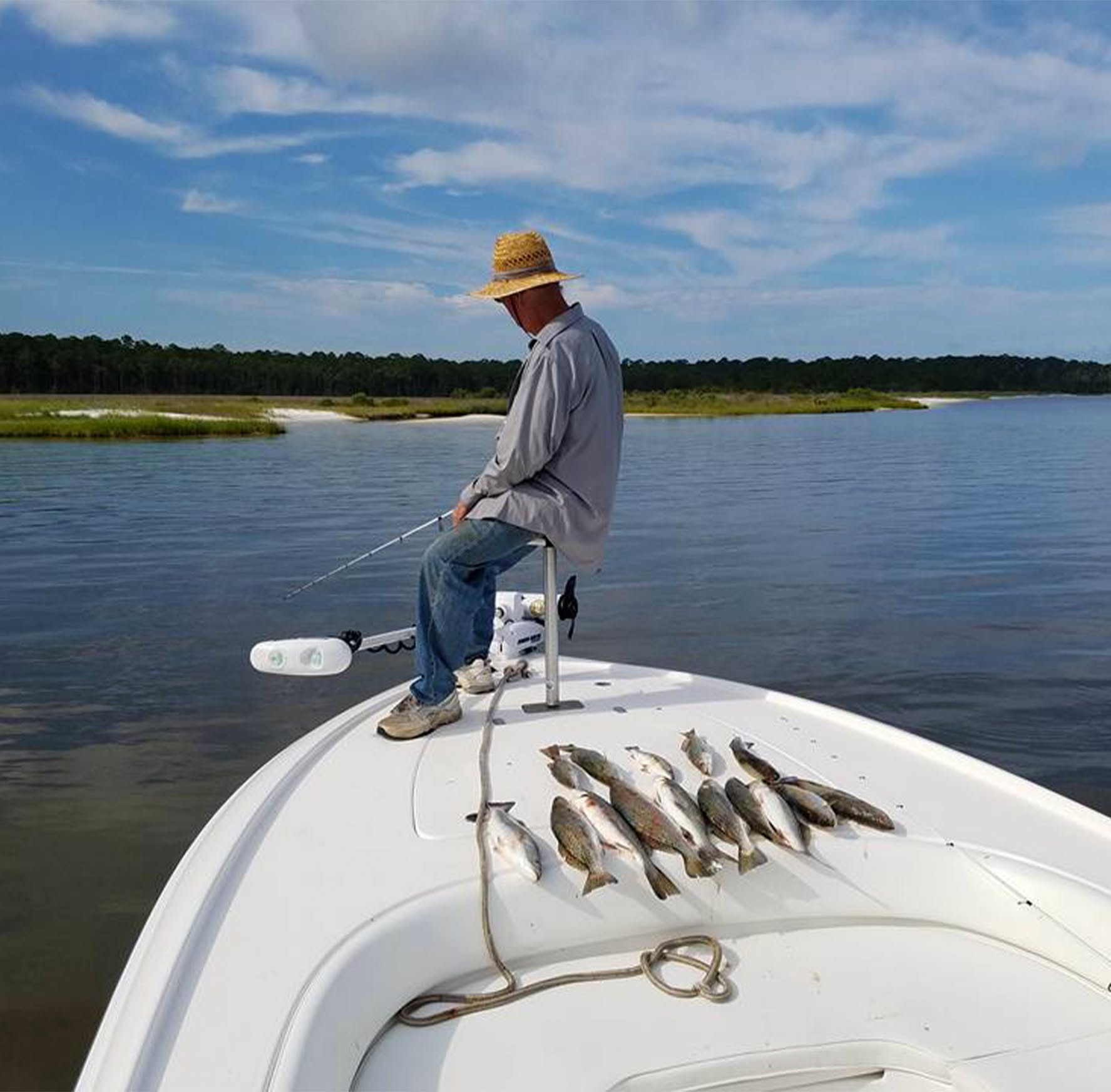 Fresh caught fish displayed on white boat deck in Gulf Shores AL waters