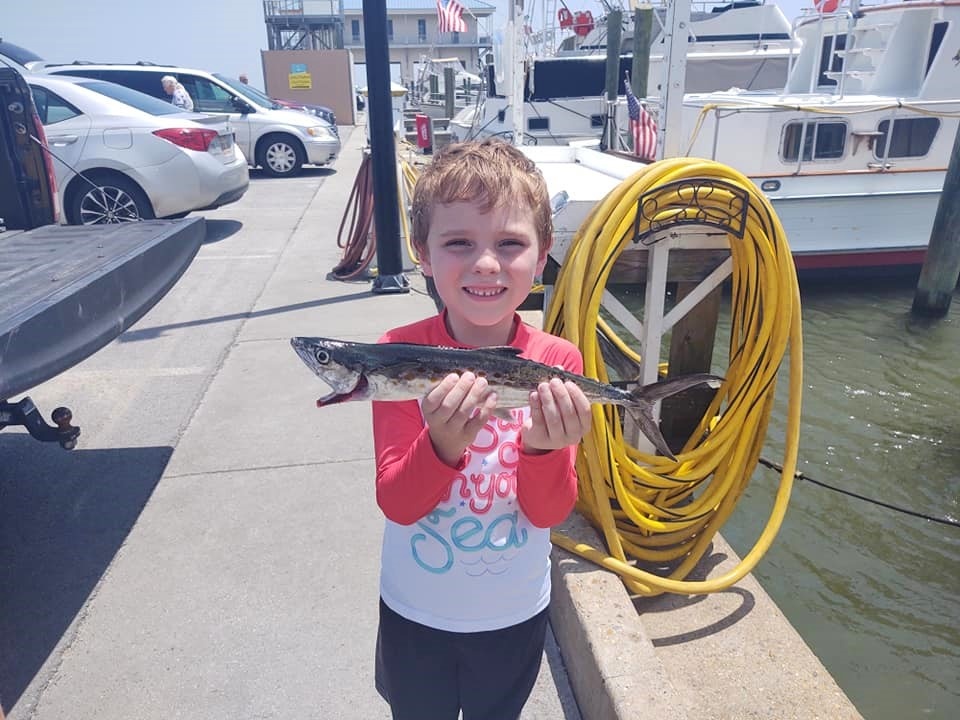 Fishing for a Spanish Mackerel in MS