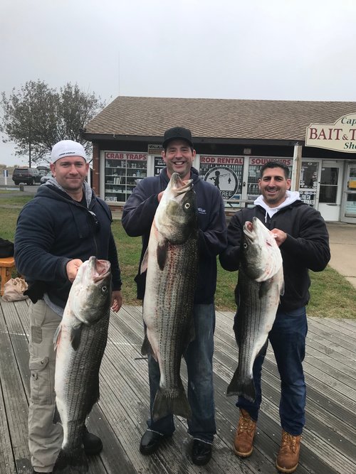 Striped bass fishing in New York