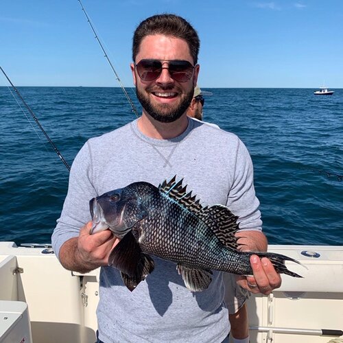 Photograph of a 16-inch sea bass caught in New York