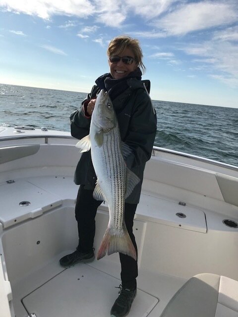Striped bass caught in New York