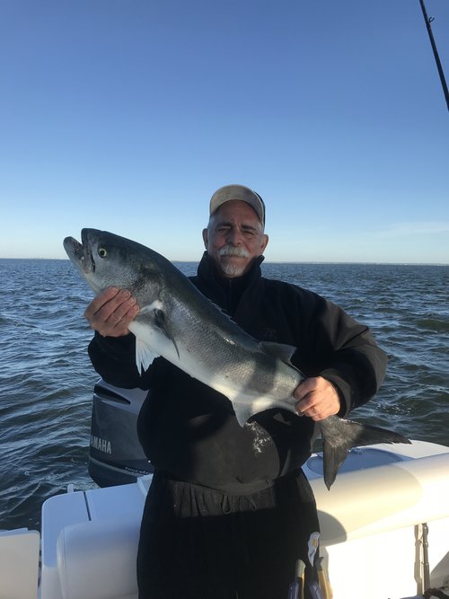 A lone angler reeling in a catch in New York