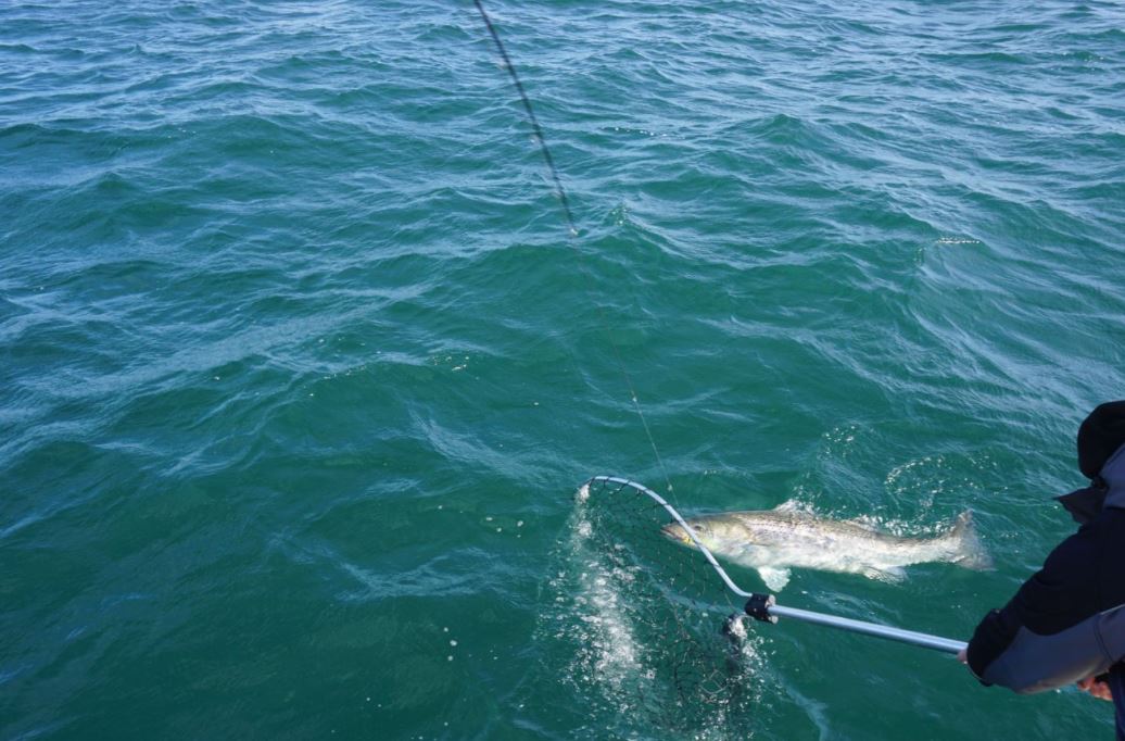 Enjoying the best fishing tours in NJ