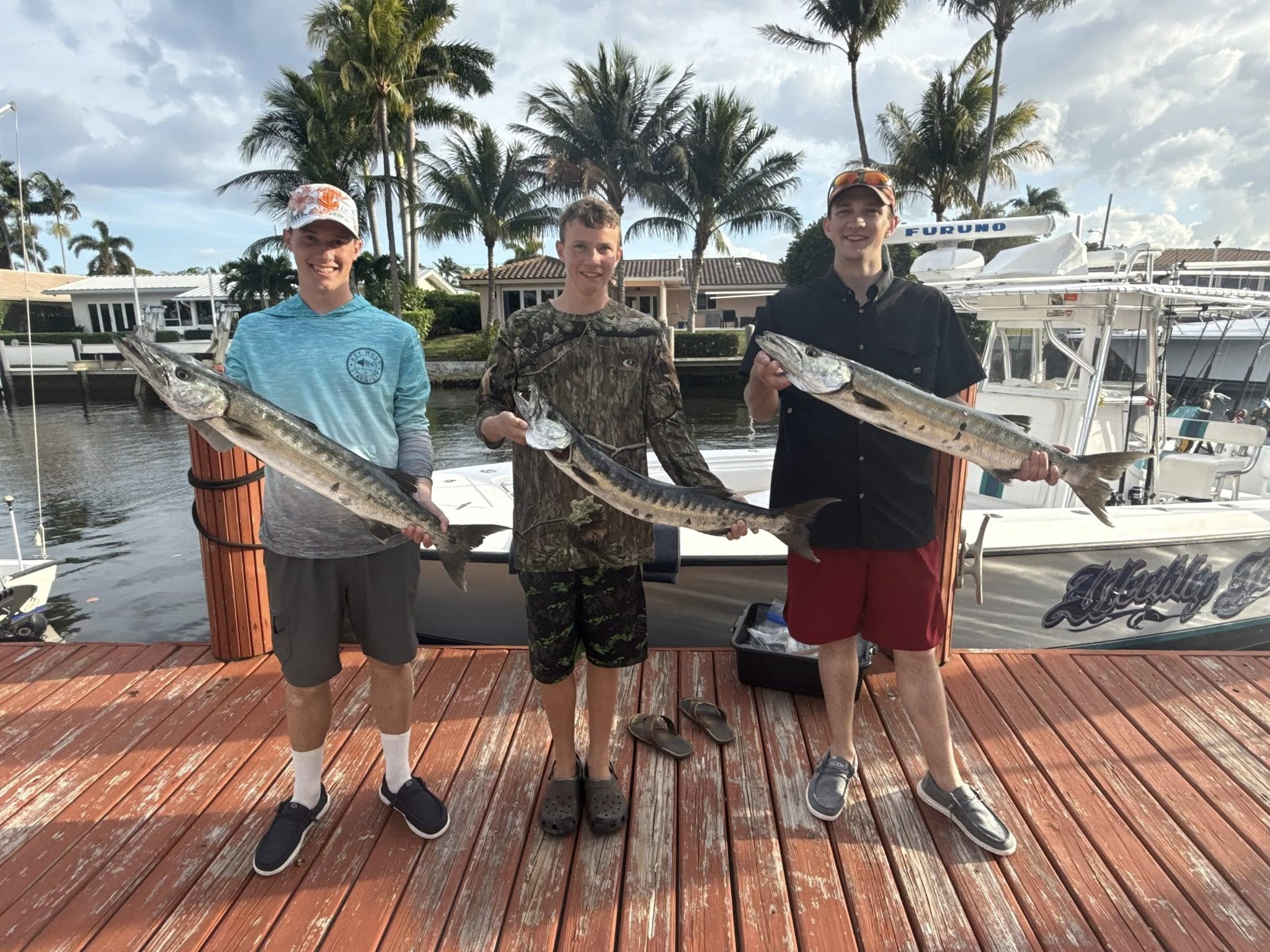 Three great barracuda caught during fishing trip in Pompano Beach FL displayed on marina dock