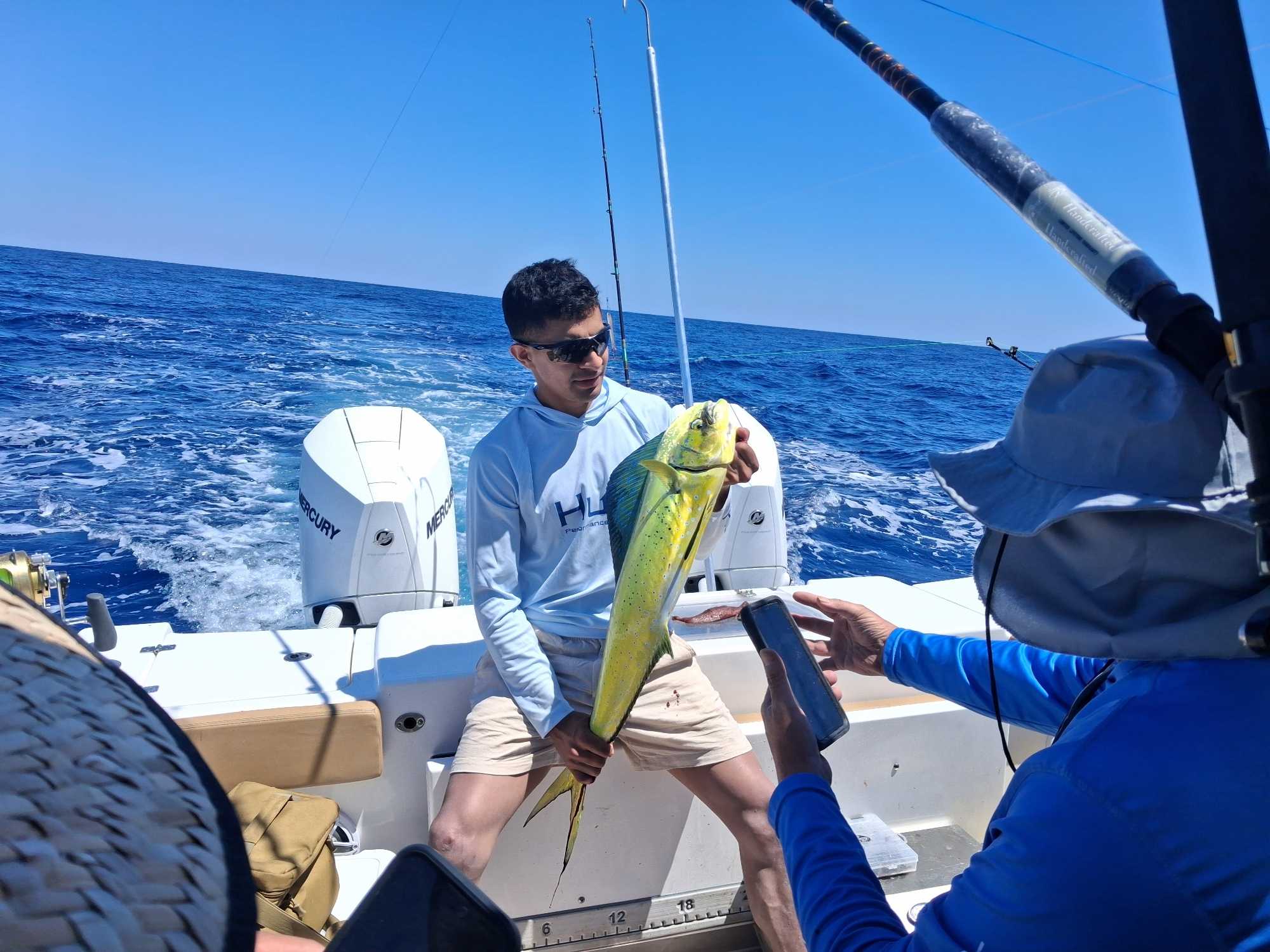 Mahi mahi catch displayed on fishing boat in Sneads Ferry NC waters
