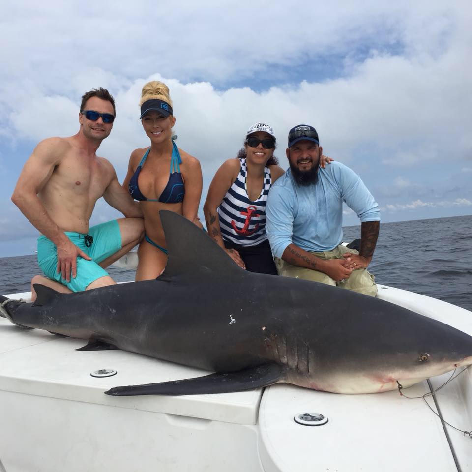 Majestic bull shark caught in FL