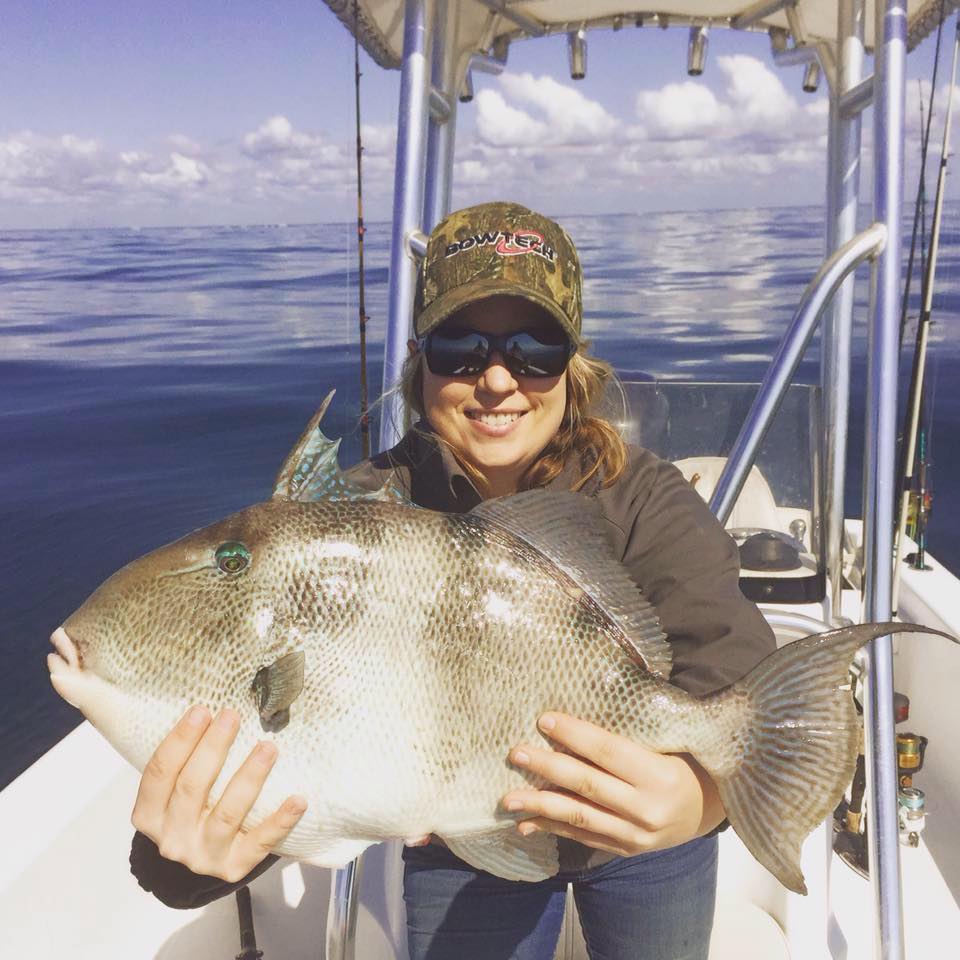 Photograph of a Grey Triggerfish, a 27-inch fish caught while fishing in Gulf Breeze.
