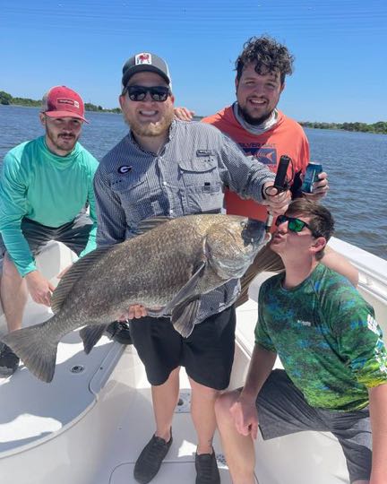 Black Drum fish caught at Jacksonville Beach