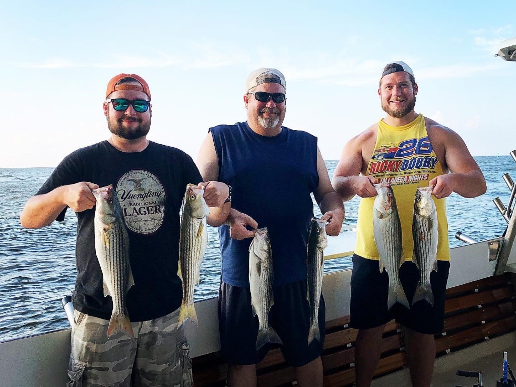 4 striped bass caught on a fishing trip in MD