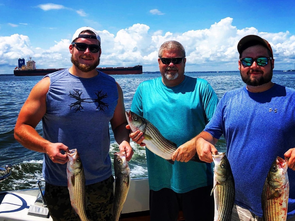 Five striped bass caught at Stevensville fishing location