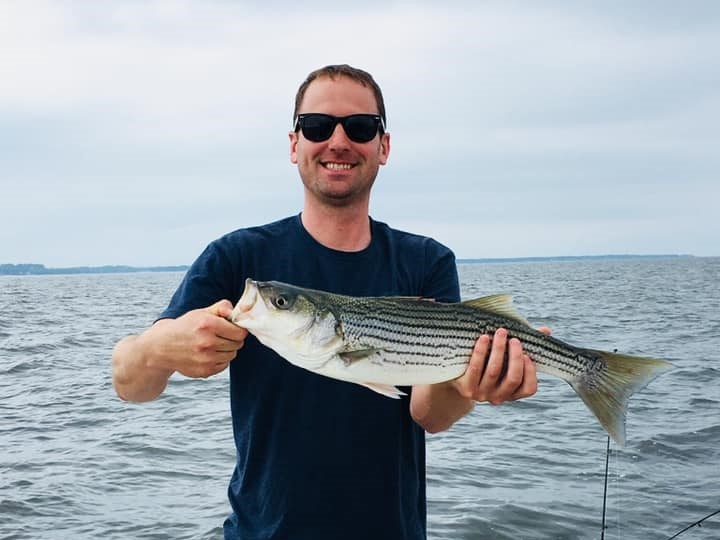 Striped bass caught in MD