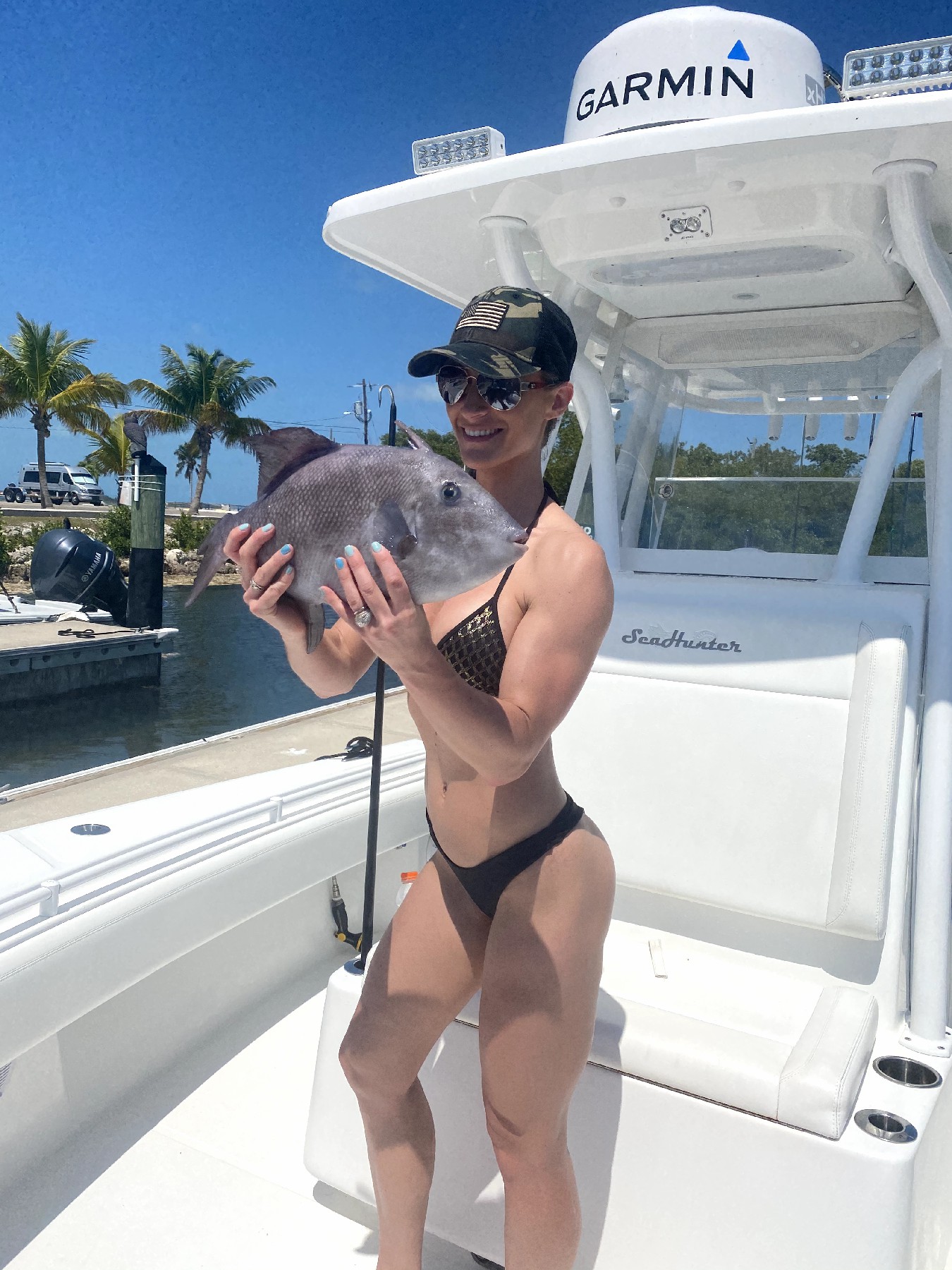 Grey Triggerfish measuring 14 inches caught while fishing on Stock Island