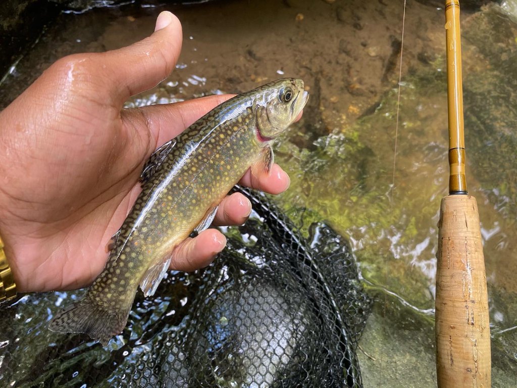 Fishing in Coatesville