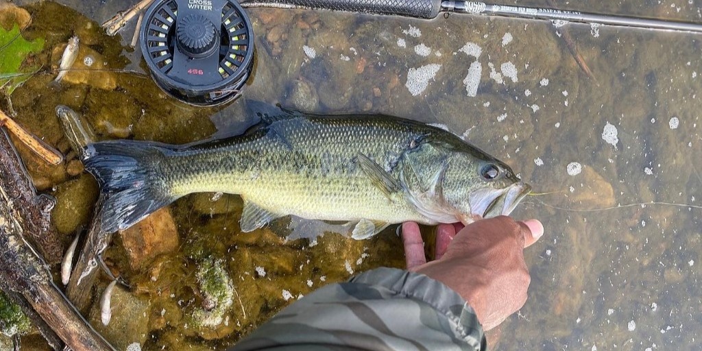 One angler fishing in Coatesville