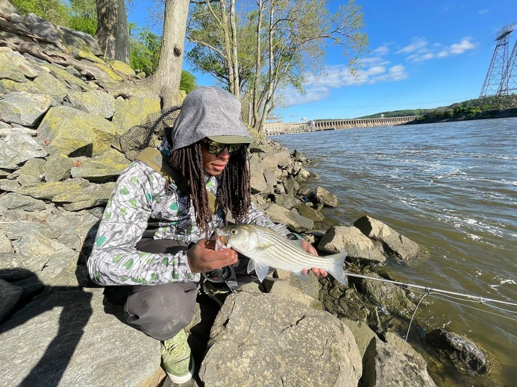 Striped bass caught in Coatesville