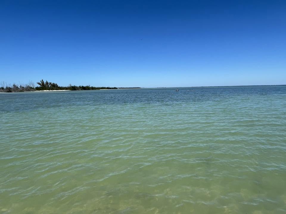 Clear shallow waters with distant shoreline and vegetation in St James City FL fishing location