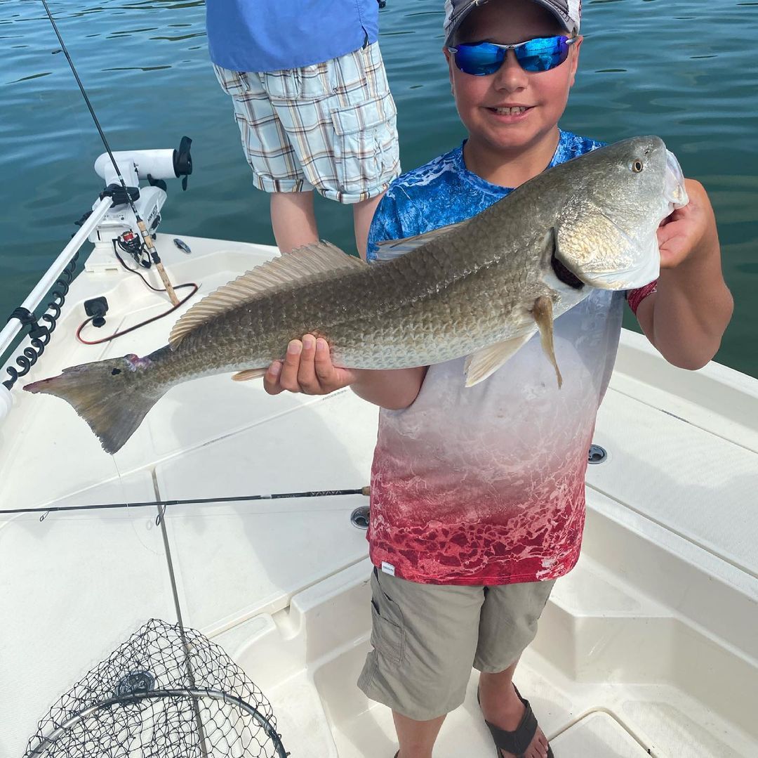 Redfish caught in Clearwater