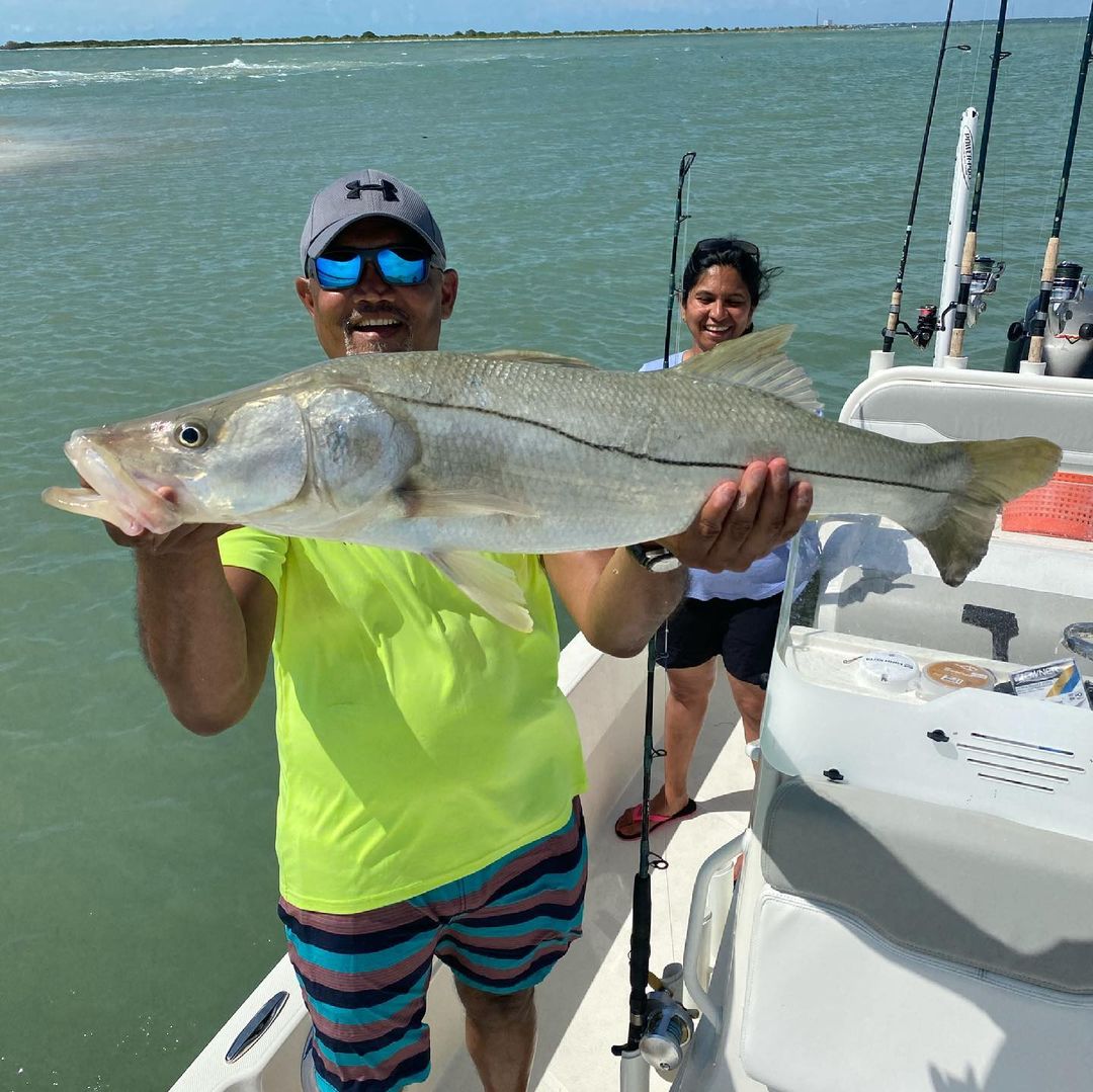 A single snook fish caught in FL while fishing