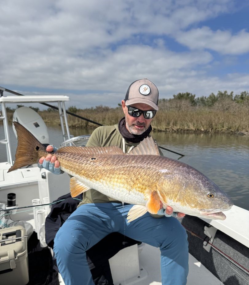 Redfish caught in LA