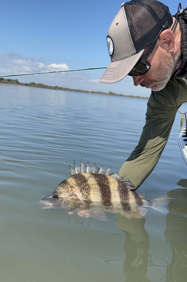 A sheepshead fish caught while fishing in Port Sulphur