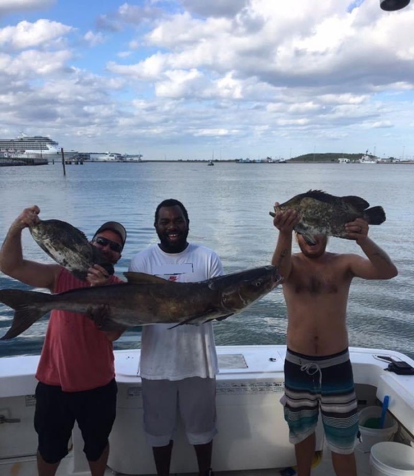 Successful cobia fishing trip in Port Canaveral FL with large catches displayed on boat