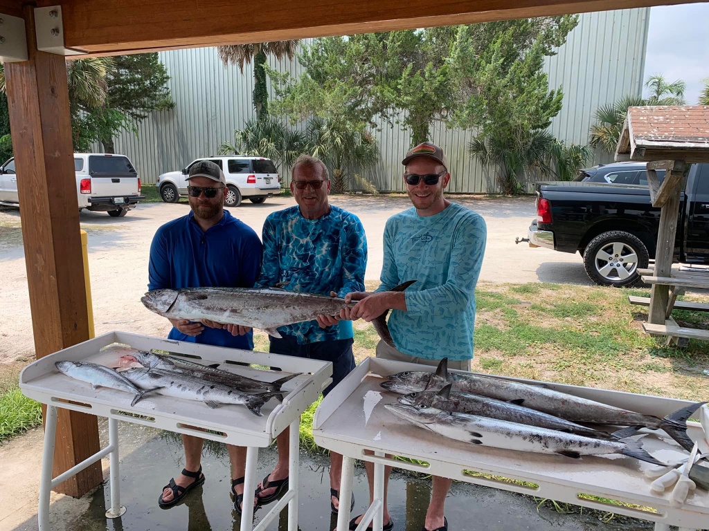 Barracuda and King Mackerel hooked in Florida