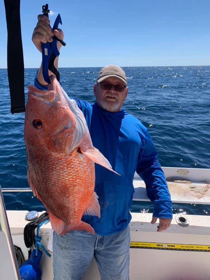 Red Snapper Fish from Atlantic Ocean 