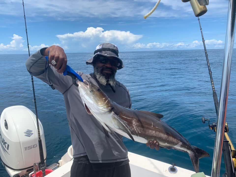 Cobia Fish lured from Florida