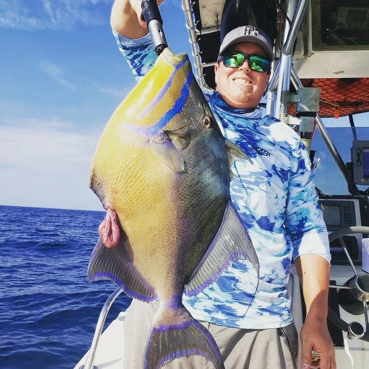 Queen Triggerfish hoofed from Jacksonville, FL