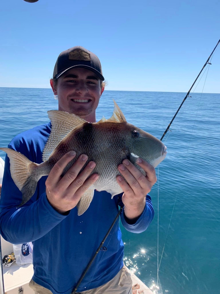 A grey triggerfish caught while fishing in FL