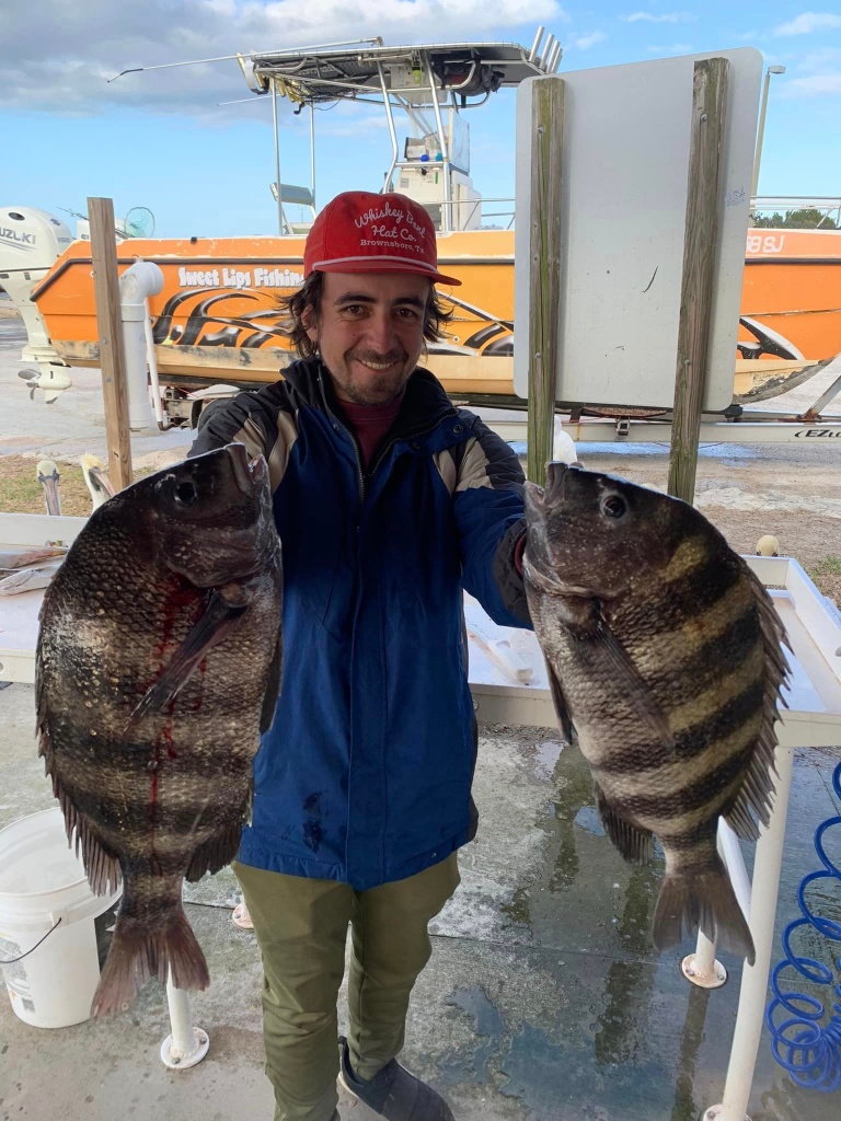 Two sheepshead fish caught in a fishing outing in Jacksonville