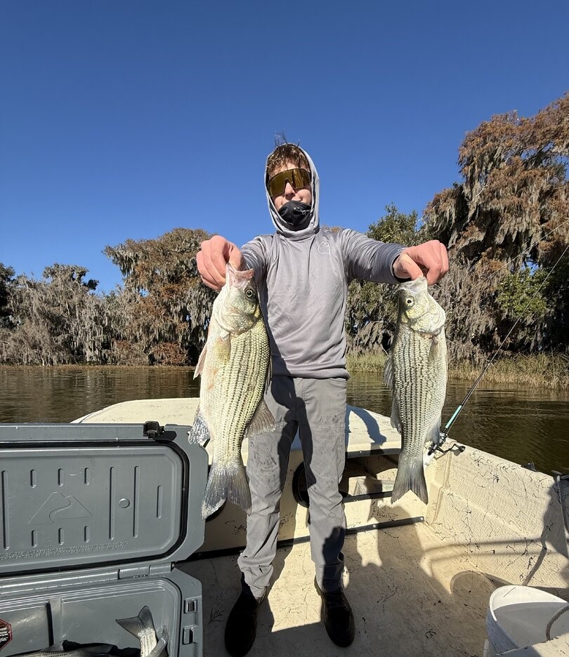 Two striped bass caught fishing in Grand Island FL