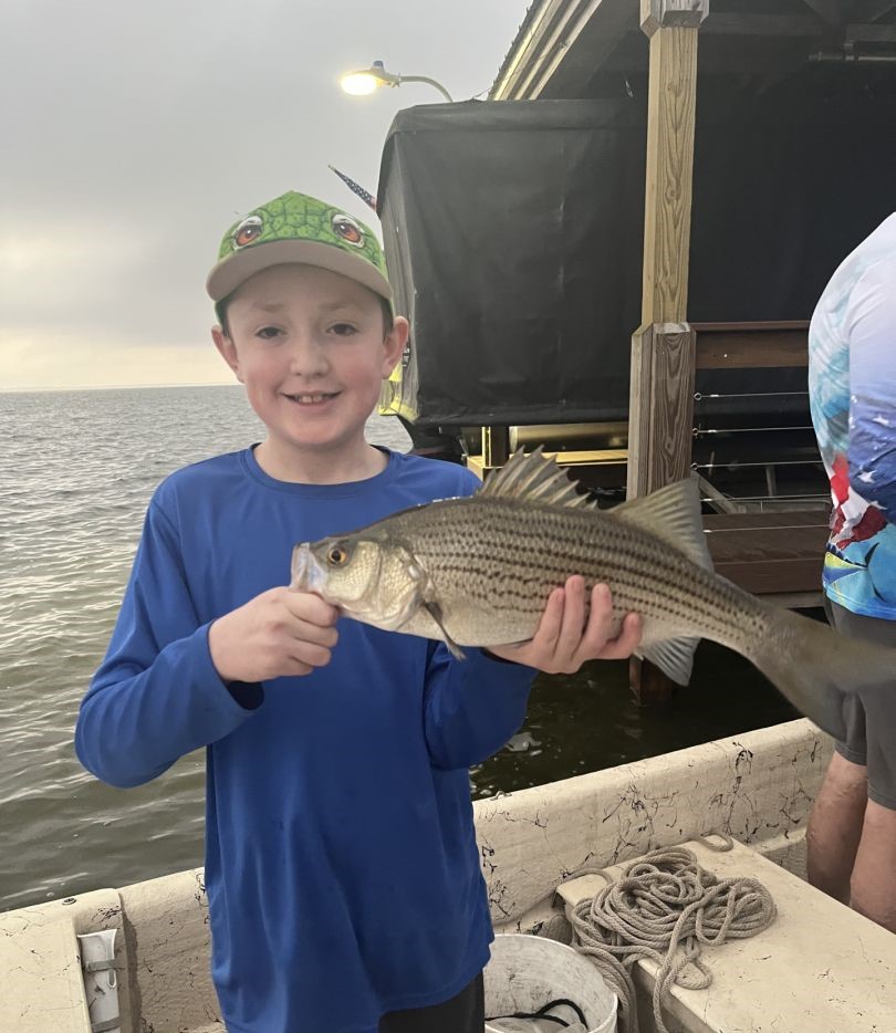 Striped bass caught fishing in Grand Island FL